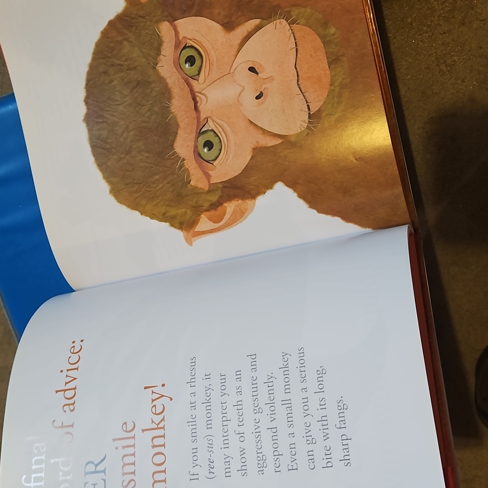 Childrens Book: Never Smile At A Monkey - Picture 3 of 4
